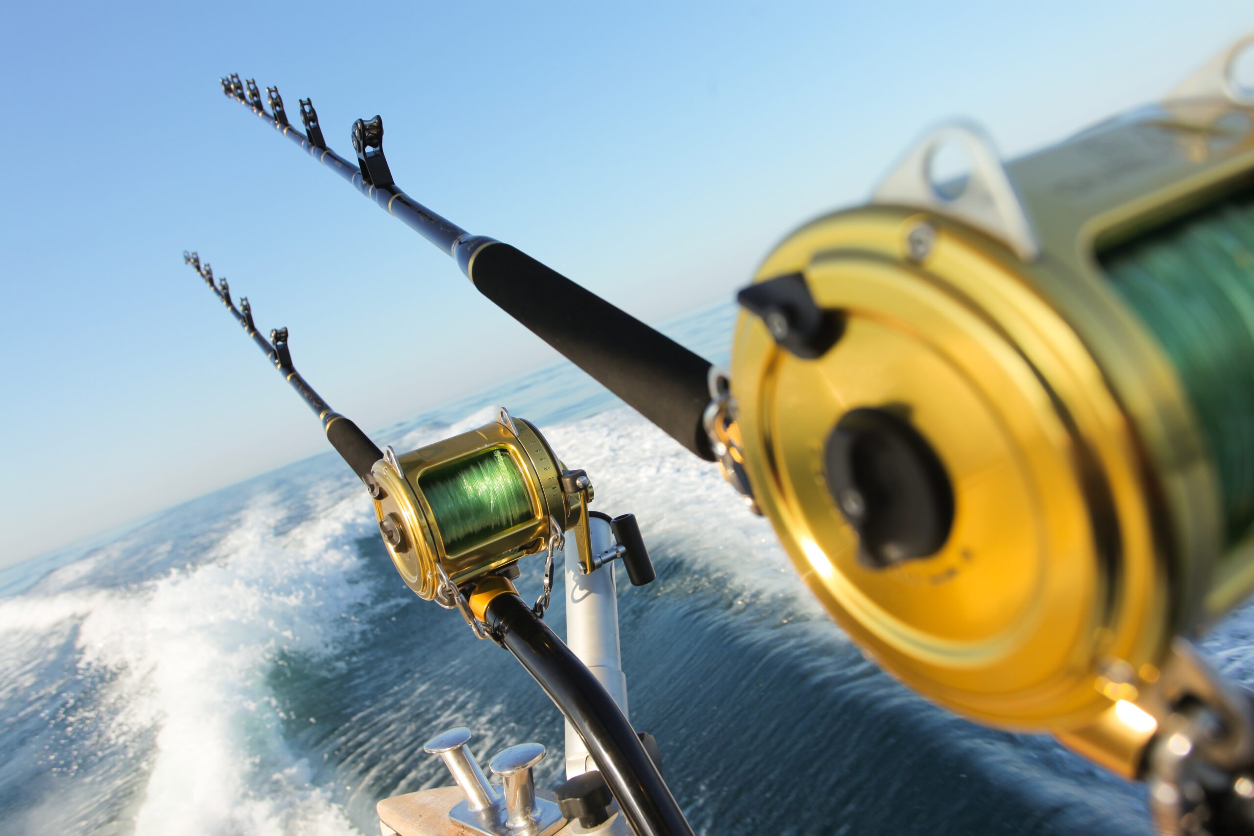 Fishing rods with gold reels extend from a boat, cutting through calm waters under a clear blue sky, highlighting a sport fishing scene.